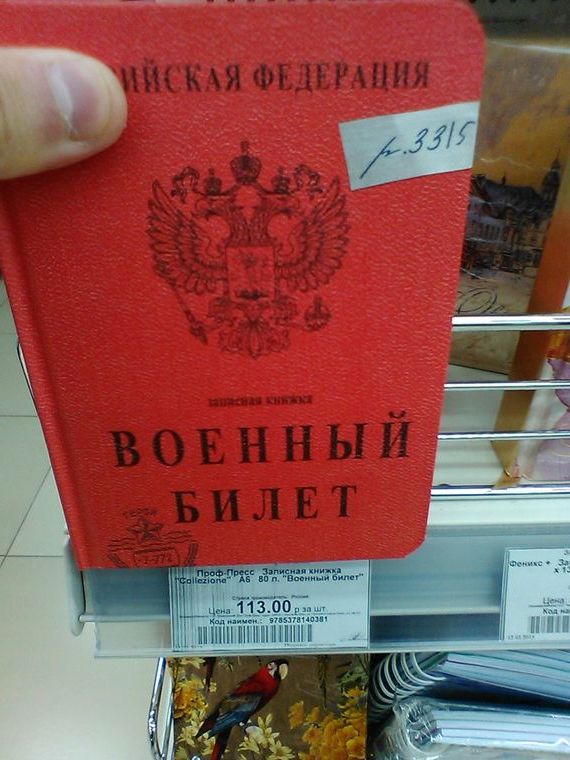 прописка в Коркино